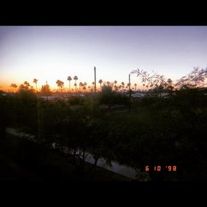 Meet your Posher, Vivian